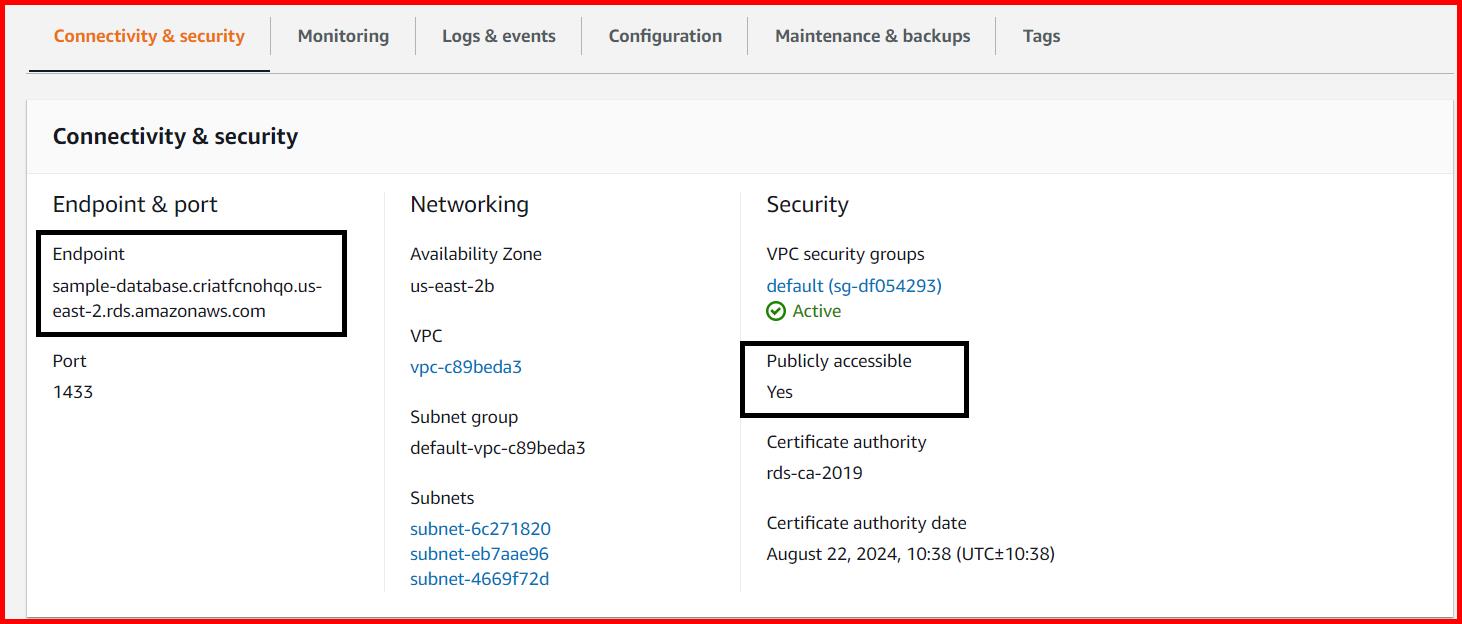 Picture showing the Server endpoint and Publicly Accessible attribute of the database